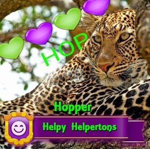 Meet your Posher, Lisa